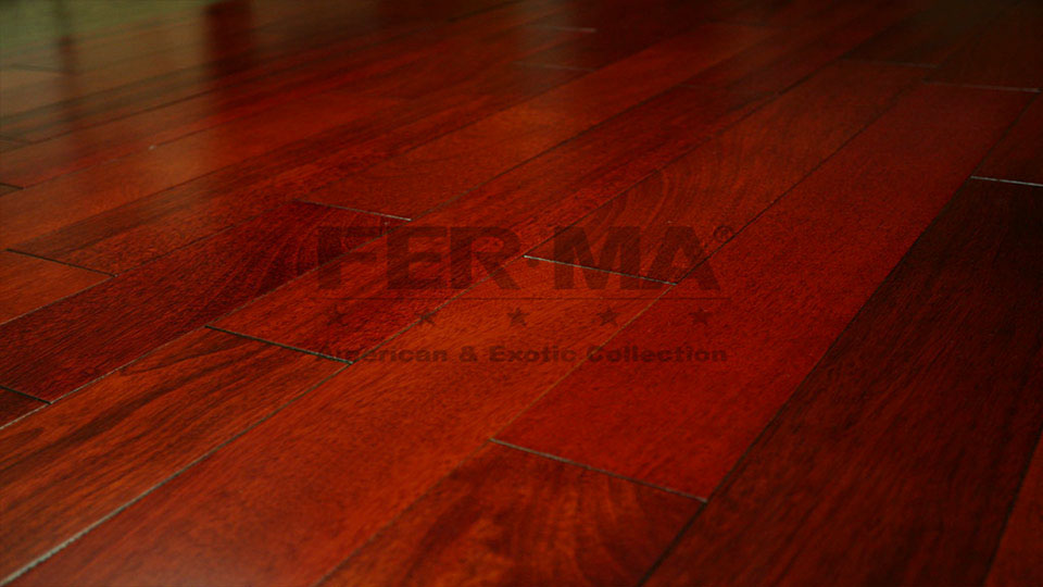 Brazilian Cherry Jatoba Coral Brazilian Cherry Flooring