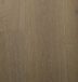 European Oak-Raw Umber