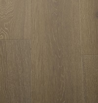 European Oak-Raw Umber